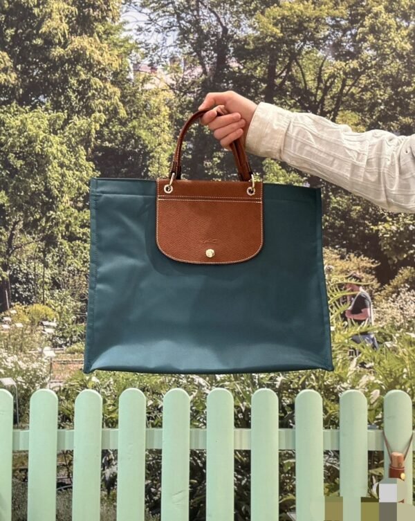 Longchamp bag LC31