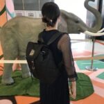 Bimba Y Lola bag PDD215 36x35x15cm