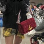 vivienne westwood bag pdd012 25x14cm