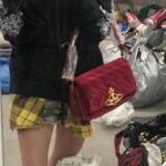 vivienne westwood bag pdd012 25x14cm