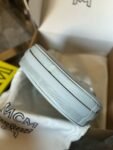 MCMS bag M31