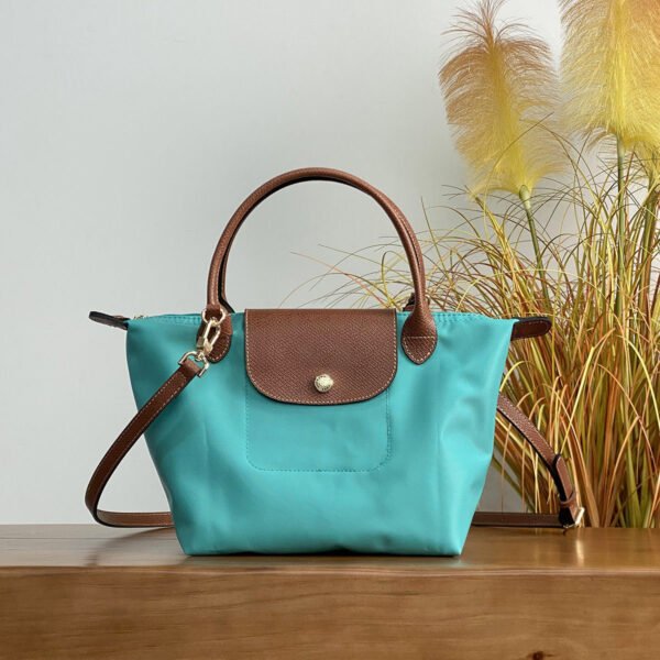 Longchamp bag LC48 23-28-14cm
