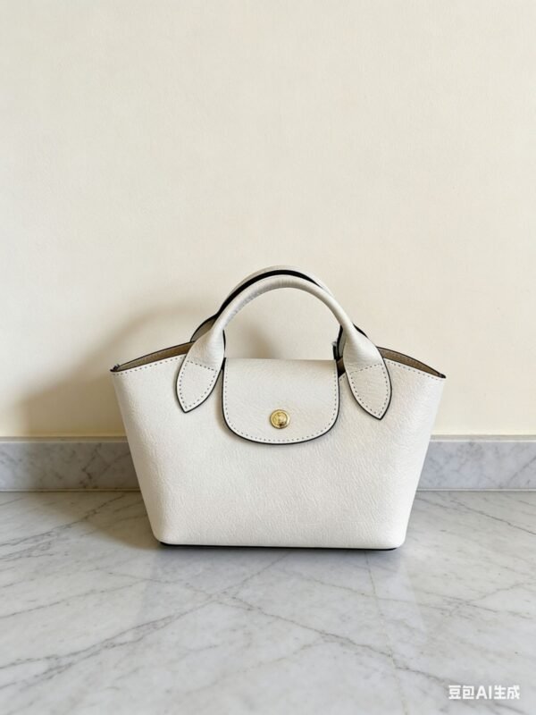 Longchamp bag LC47 19-7.5-15cm
