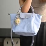 Longchamp bag LC48 23-28-14cm