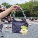 Goyard bag G07 26-11-22cm