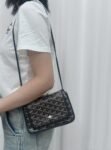 Goyard bag G01 21-14-3cm