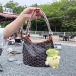 Goyard bag G07 26-11-22cm