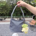 Goyard bag G07 26-11-22cm