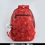 Kipling bag K40 29-21-35