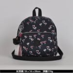 Kipling bag K49 19-14-20cm